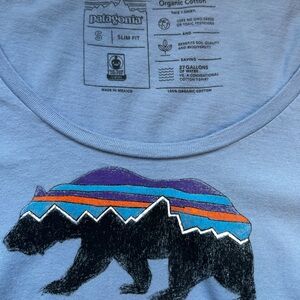 Patagonia Blue Graphic Tee
